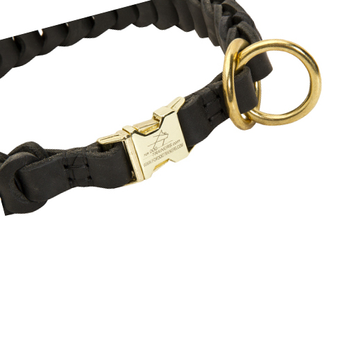 Training collar with click closure