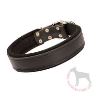 Leather Collar Wide Padded with Felt, 4 cm