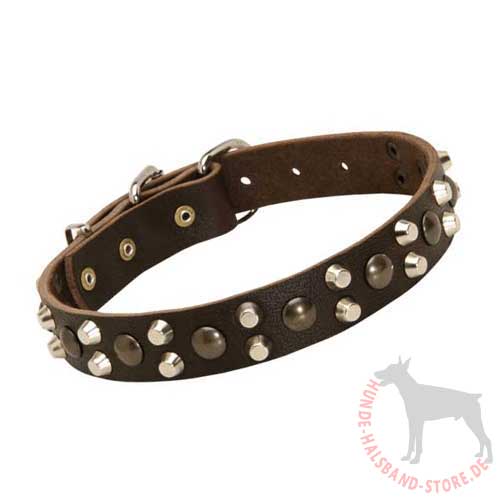 Designer Dog Collar for All Breeds 