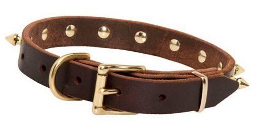 Dog Collar Leather with Spikes