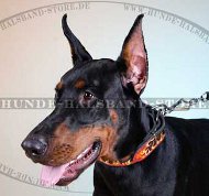 Hunde Halsband Leder mit 