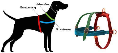 H5 messen Sie Ihren Hund ab