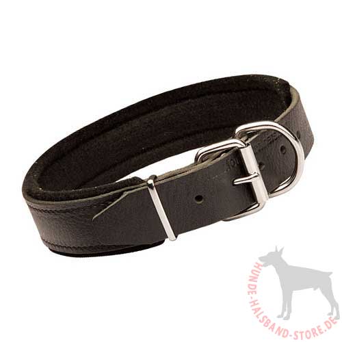 Hundehalsband Leder Breit mit Filz 