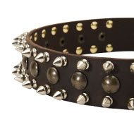 Hundehalsband Leder mit Spikes und Nieten