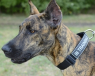 Hundehalsband K9 Nylon für Deutsche Dogge | Klettlogos K9!