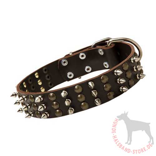 Wide Studded Dog Collar 