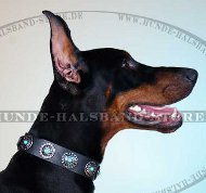Hundehalsband Leder für Dobermann mit Steinen und Silberschmuck
