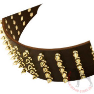 Leather Dog Collar with Golden Spikes | Designer Dog Collar, 3"