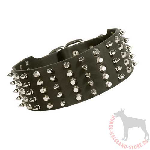 Exclusive Spiked Dog Collar, 3 inch 