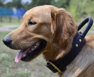 Hundehalsband Leder mit Schlaufe für Labradors und Retriever❺