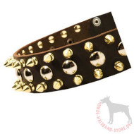 Halsband für Hunde aus Leder mit Spikes und Nieten