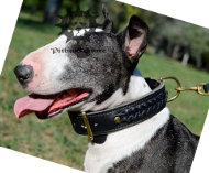 Hundehalsband Leder für Bullterrier, geflochtene Supervariante
