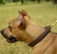 Hundehalsband Leder für Pitbull, Verzierendes mit Zopf-Flechten