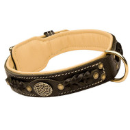 Exclusive Leather Dog Collar with Design of Braids and Brass