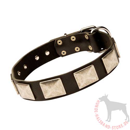 Designer Dog Collar with Massive Plates 