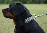 Hundehalsband Nylon mit Logos für Rottweiler