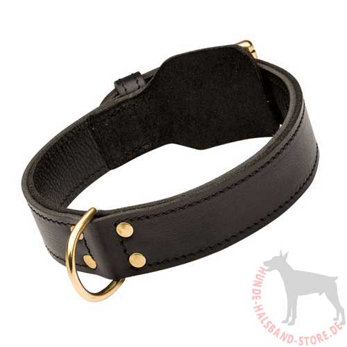 Dog Collar for every situation with large dog breeds 