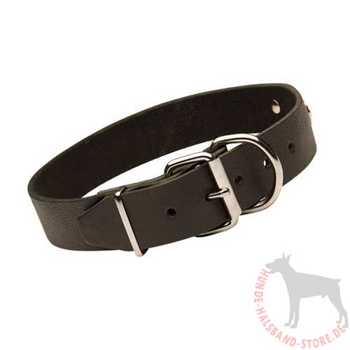Classic Dog Collar with ID-Tag 