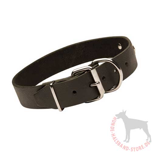 Hundehalsband mit ID-Schild 