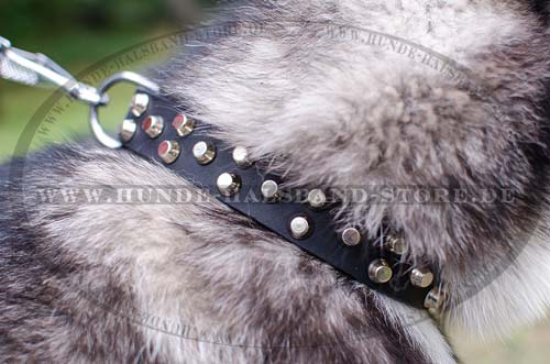 Designer Dog Collar for Malamute with Pyramids 