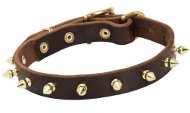 Modern Hundehalsband aus Leder mit 1-reihigen Spikes