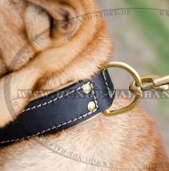 Breites Hundehalsband Leder mit Rindnappa-Leder Breites Hundehalsband Leder mit Rindnappa-Leder