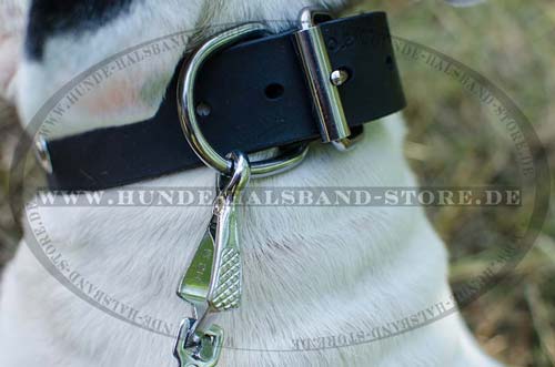 Classic ID Dog Collar Leather 