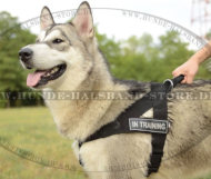 Allwetter Nylongeschirr mit Logos für Alaskan Malamute