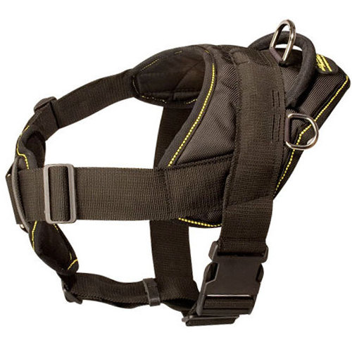 All-Weather Nylon Harness for Great Dane 
