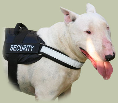 Reflective Nylon Dog Harness