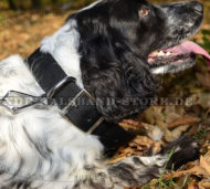 Klassisches Nylonhalsband für Spaniel