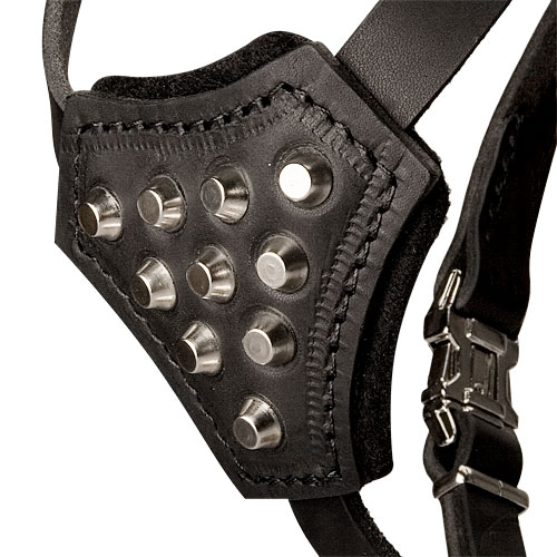 Leather Spiked dog harness for small dog breeds