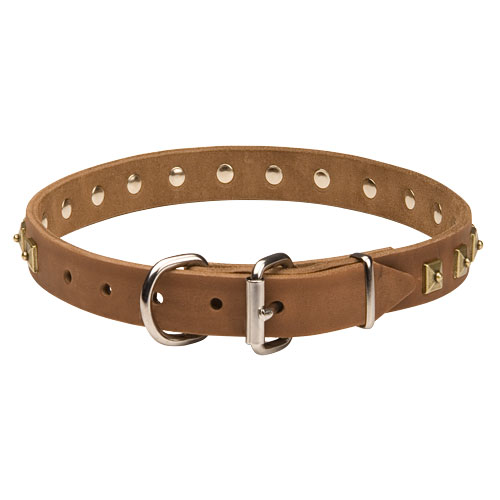 hundehalsband leder