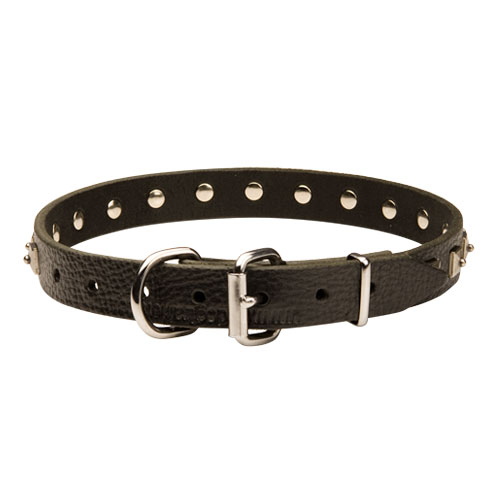 hundehalsband leder