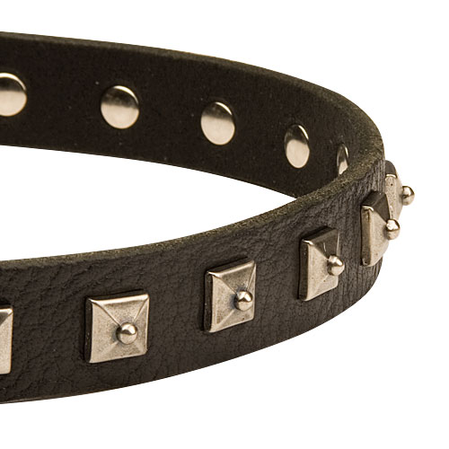 hundehalsband leder