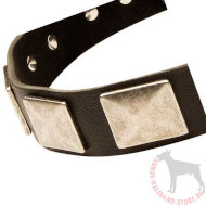 Leather Collar With Vintage Massive Plates for Large Dogs