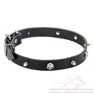 Hundehalsband Leder mit aggressivem Design