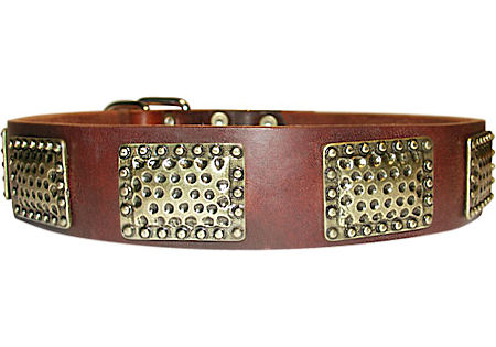 Designer Leder Halsband Breit 