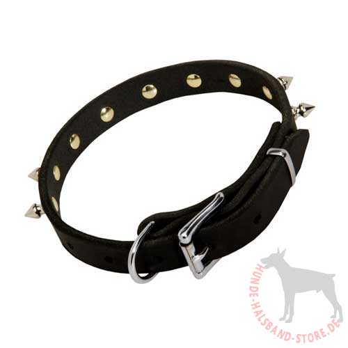 Spiked Dog Collar, 19mm 