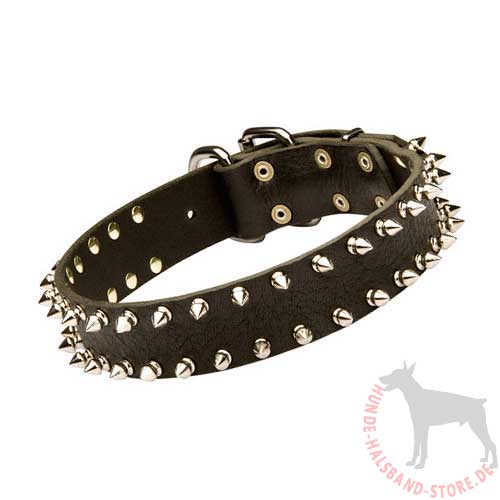 Spiked Collar for Dogs 