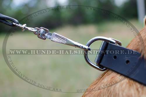 Luxus Hundehalsband Leder mit Platten und Pyramiden 