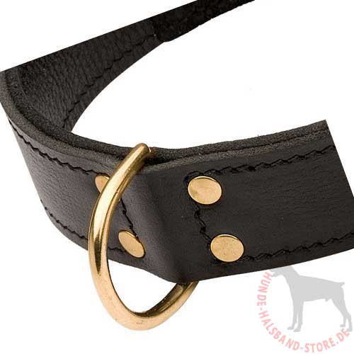 Leather Collar for Dog Training 