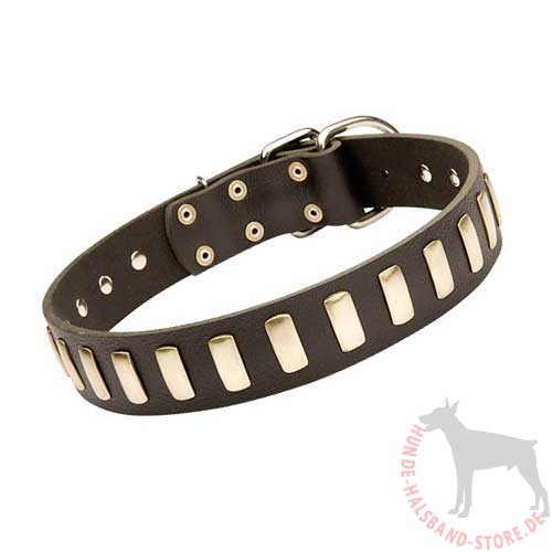 Leather Collar for dogs with Brass Plates 