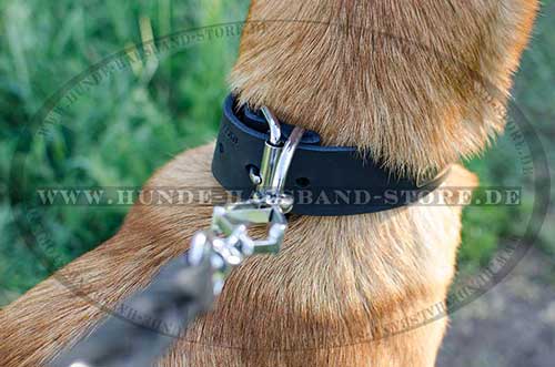 Malinois Dog Collar Leather with ID-Tag 