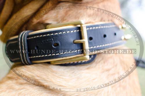 Luxe Leather Collar for Bordeauxdogge 