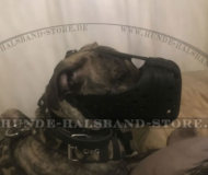 Ledermaulkorb "Dondi plus" für Presa Canario