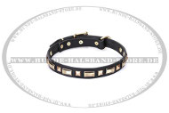 "Golden Elegance" Handarbeit Lederhalsband FDT Artisan