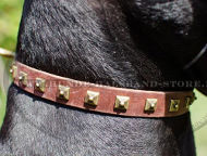 Deutsche Dogge Nieten Halsband aus Leder