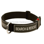 Alltägliches Halsband mit Logos für Hunde