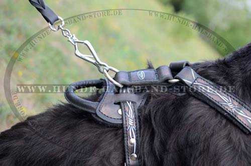 Giant Schnauzer Harnes Leather Padded Design